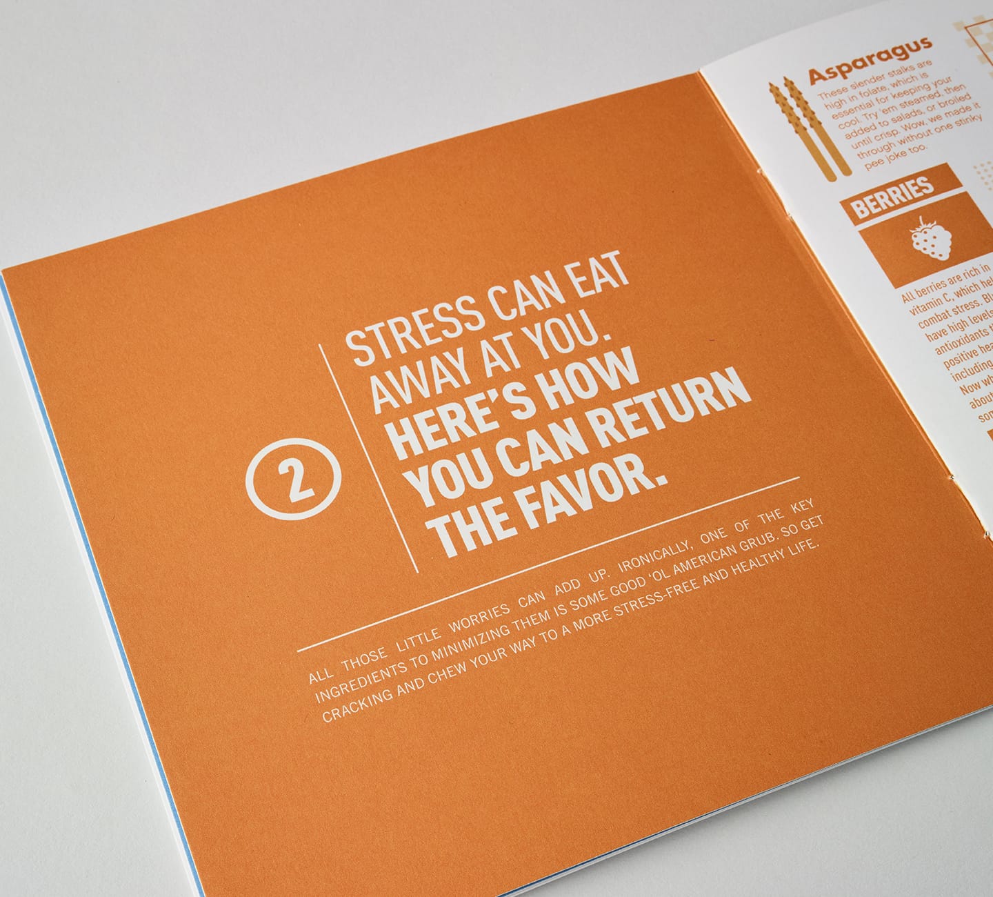 stressipies booklet for kfb law eating stress