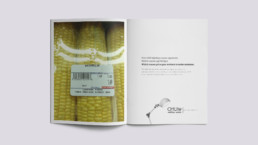 ottlite magazine mockup
