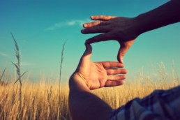 hands framing a photo in field
