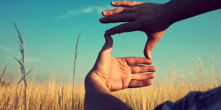 hands framing a photo in field