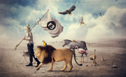 creative herd