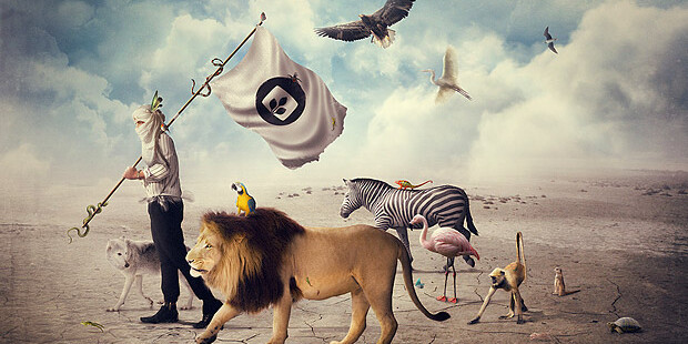 creative herd