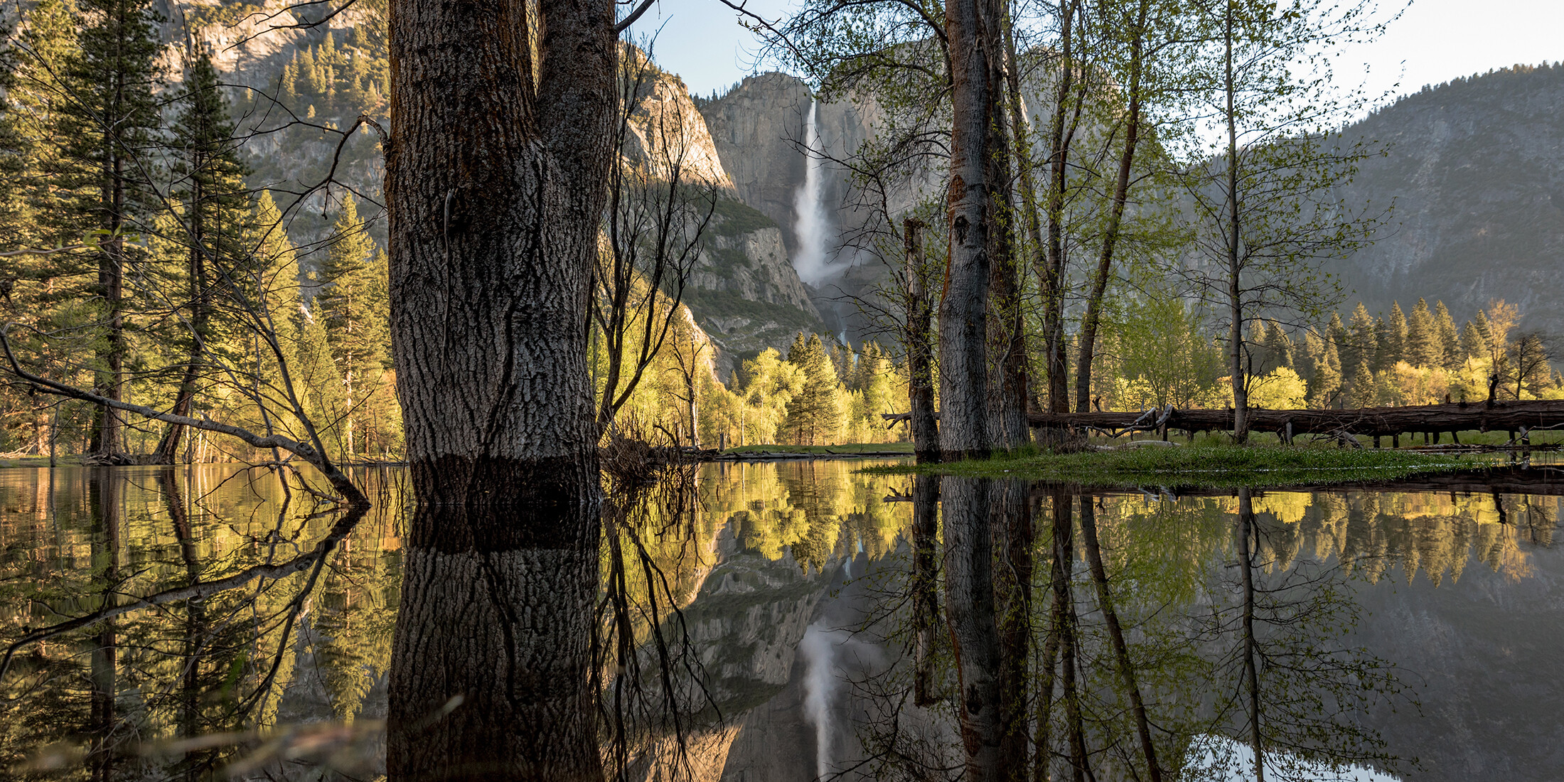 photo of lake next to coniferous forest and mountains