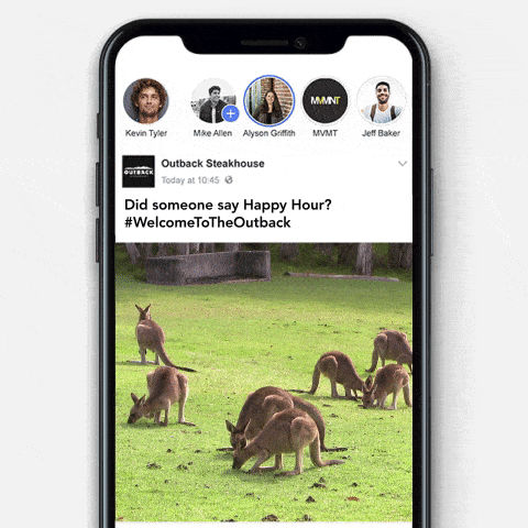 video of kangaroos looking at camera. Did someone say happy hour Facebook ad for Outback Steakhouse