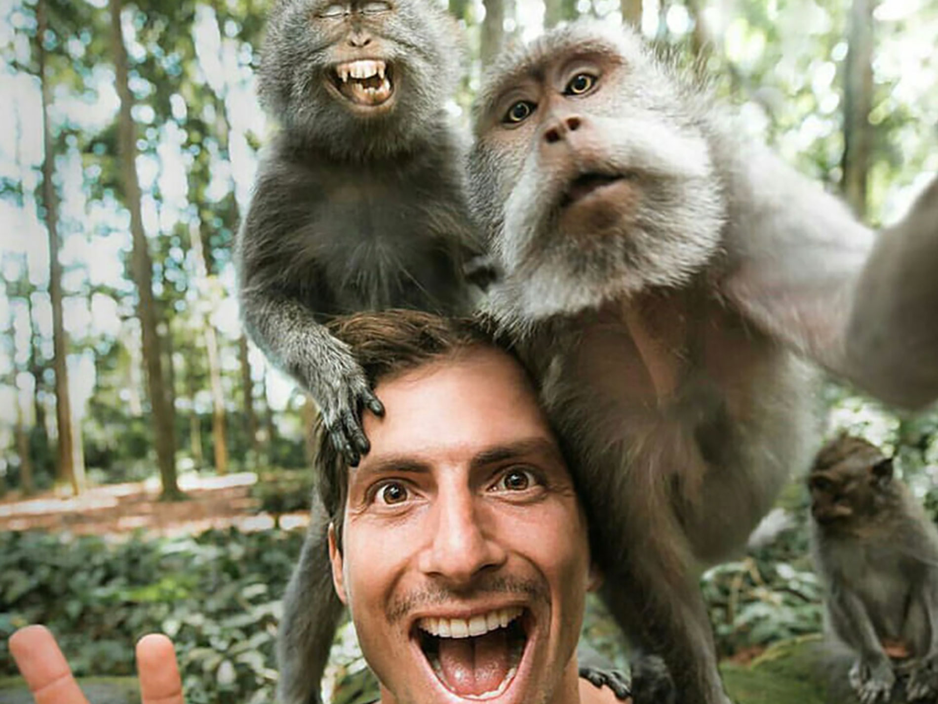 Money taking selfie sitting on man's shoulder, monkeys and man are smiling